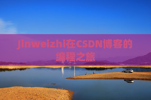 Jinweizhi在CSDN博客的编程之旅